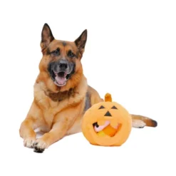 Midlee Pumpkin Find A Toy Halloween Dog Toy -PawHut Store GUEST cff40ad5 ccb4 4b92 a905 0ffd20e98da7