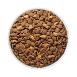 Purina ONE Tender Selects Blend With Real Salmon Adult Premium Dry Cat Food