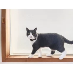 Necoichi Gilded Gold Bow Tie Cat Collar 14 Necoichi Gilded Gold Bow Tie Cat Collar -PawHut Store GUEST d1a1ef6b 7fc9 4757 bafa b64434e1b53c