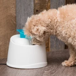 IRIS USA Pet Water Fountain For Cats And Dogs