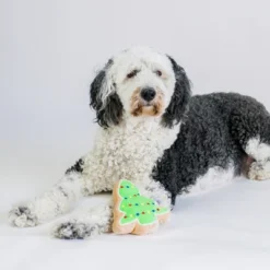 Christmas Sugar Cookie Plush Dog Toy- Christmas Tree… -PawHut Store GUEST d2190428 de74 45c3 8905 1c40c2946f26