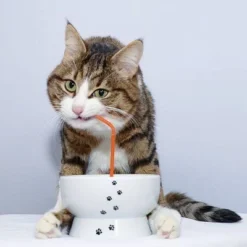 Necoichi Raised Cat Water Bowl -PawHut Store GUEST d334cb6f d715 4b67 8e19 fc2bd611e6dc