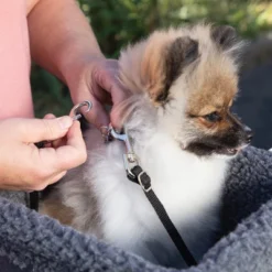 Travel Bike Basket -PawHut Store GUEST d3ca8774 2d63 4fff a7c0 a4e45f7b9f98