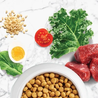 Nutro Natural Choice Lamb & Brown Rice Adult Dry Dog Food - 30lbs 2 Nutro Natural Choice Lamb & Brown Rice Adult Dry Dog Food - 30lbs - Image 2