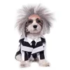 Rubies Beetlejuice Costume For Pets