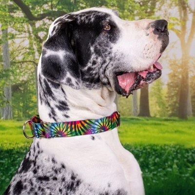 Country Brook Petz Tie Dye Stripes Martingale Dog Collar 5 Country Brook Petz Tie Dye Stripes Martingale Dog Collar - Image 5