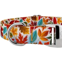 Country Brook Petz Premium Brisk Autumn Dog Collar 7 Country Brook Petz Premium Brisk Autumn Dog Collar -PawHut Store GUEST d4c2178a 9494 48d9 ba5b 83763bf53d5b