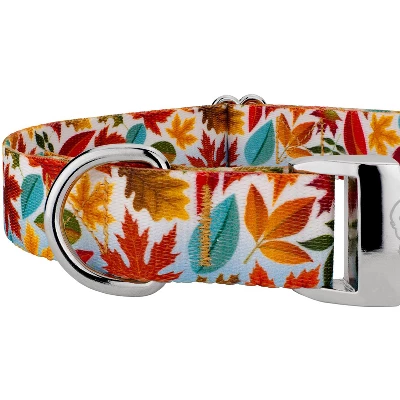 Country Brook Petz Premium Brisk Autumn Dog Collar 3 Country Brook Petz Premium Brisk Autumn Dog Collar - Image 3