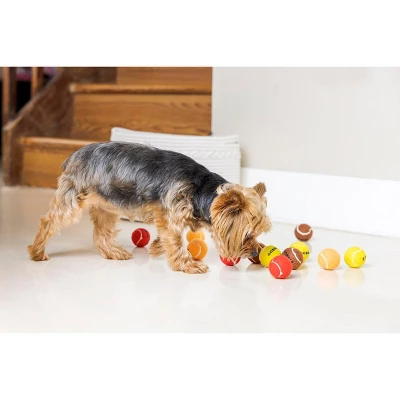 Thanksgiving Dog Tennis Balls 4 Thanksgiving Dog Tennis Balls - Image 4