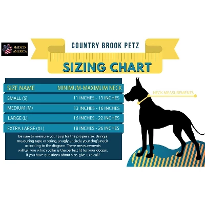 Country Brook Petz Premium American Stars Dog Collar And Leash 1 Country Brook Petz Premium American Stars Dog Collar And Leash
