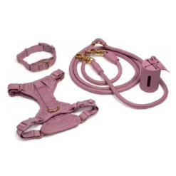 AWOO Marty Recycled Martingale Dog Collar -PawHut Store GUEST d5c58c71 adaa 4b4c 9e9a 7585c622a574