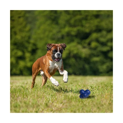 Nylabone Power Play Crazy Ball Dog Toy Large 3 Nylabone Power Play Crazy Ball Dog Toy Large - Image 3