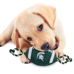 NCAA Michigan State Spartans Nylon Football Dog Toy -PawHut Store GUEST d6e359bd bf29 42c3 823f 9ca400993f7a