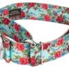 Country Brook Petz 1 1/2 Inch Vintage Roses Martingale Dog Collar