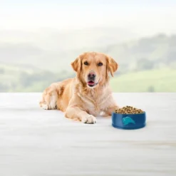 Blue Buffalo Life Protection Formula Natural Adult Dry Dog Food With Fish And Brown Rice 10 Blue Buffalo Life Protection Formula Natural Adult Dry Dog Food With Fish And Brown Rice -PawHut Store GUEST d7784ee8 fd6b 4d4f af32 099ff89dc0a9 1