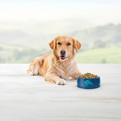 Blue Buffalo Life Protection Formula Natural Adult Dry Dog Food With Chicken And Brown Rice 2 Blue Buffalo Life Protection Formula Natural Adult Dry Dog Food With Chicken And Brown Rice - Image 2