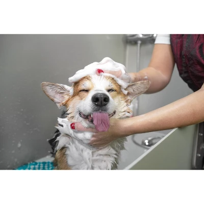 Groomer Essentials Grooming Arm Accessory 7 Groomer Essentials Grooming Arm Accessory - Image 7