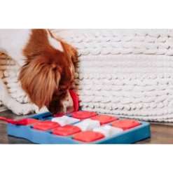 Outward Hound Nina Ottosson Brick Interactive Puzzle Game Dog Toy -PawHut Store GUEST d8c48425 36fe 42c3 9662 f1d59dc95140