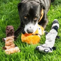 ZippyPaws Skinny Peltz Dog Toy - L - 3pk