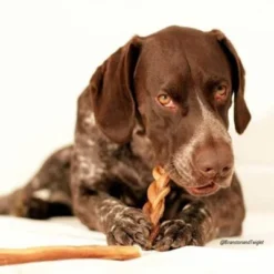 Pawstruck 7" Braided Bully Sticks For Dogs - Natural Bulk Dog Dental Treats & Healthy Chews, Chemical Free, 7 Inch Best Low Odor Pizzle Stix -PawHut Store GUEST da4c9463 9bb2 4a22 bebc 5957f0c90a41