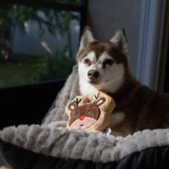 Midlee Reindeer Sugar Cookie Dog Toy -PawHut Store GUEST daa12cca 17a7 481a 921e 03e801938955