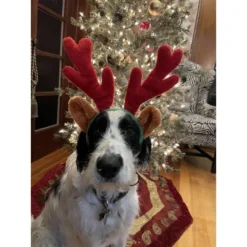 Midlee Christmas Reindeer Antlers With Ears For Large Dogs -PawHut Store GUEST db4698e8 ff0f 403d 898b 6e03532797fa