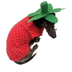 Midlee Strawberry Dog Costume -PawHut Store GUEST db4b60c7 4638 4037 9178 ecd97ac427e3