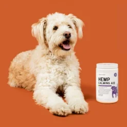 Chew + Heal Calming Anxiety Treats With Hemp, Dog Supplement, Perfect For Fireworks Or Travel - 60 Delicious Chews -PawHut Store GUEST db6e5730 63cd 4ca2 a65b 6956949e6adb