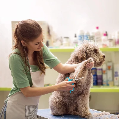 BOSHEL Dog Grooming Scissors Set - 3 Dog Grooming Shears - 1 Large Straight Dog Scissors - 1 Micro-serrated Scissors - 1 Dog Thinning Shears 4 BOSHEL Dog Grooming Scissors Set - 3 Dog Grooming Shears - 1 Large Straight Dog Scissors - 1 Micro-serrated Scissors - 1 Dog Thinning Shears - Image 4