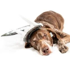 Midlee Dinosaur Dog Headband & Tail Costume -PawHut Store GUEST de40377a 0e3b 43d4 bae7 8418ccab21f7