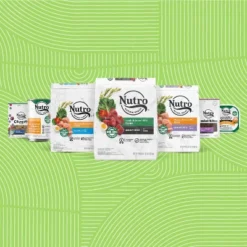 Nutro Grain Free Cuts In Gravy Adult Wet Dog Food - 3.5oz/12ct -PawHut Store GUEST de711d54 c765 4e05 b97c 3521b1544dd1