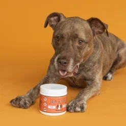 Natural Dog Company Skin & Coat Supplement - Salmon/Peas - 90ct 10 Natural Dog Company Skin & Coat Supplement - Salmon/Peas - 90ct -PawHut Store GUEST df1dca2b bfe7 41bb 8768 fc8184e945cd