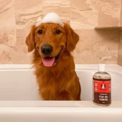Natural Dog Company Itchy Dog Shampoo - 12oz -PawHut Store GUEST dfda828f 9e07 405f afd3 5b35d6fbcb6b