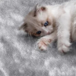 Yaheetech 76"H Large Plush Cat Tree With Platforms For Kittens Cats -PawHut Store GUEST e073a2b8 016e 4b21 ba01 7d069ec72333