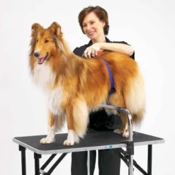 Master Equipment Adjustable Grooming Supports