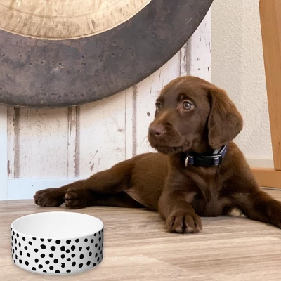 Amici Pet Dots Pet Food Bowl, Water Dish, 28-Ounce, White & Black Dots Design, Anti-Slip Ceramic Pet Food Dish 1 Amici Pet Dots Pet Food Bowl, Water Dish, 28-Ounce, White & Black Dots Design, Anti-Slip Ceramic Pet Food Dish