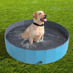 Pet Adobe Foldable Pool For Dogs And Kids, Blue -PawHut Store GUEST e13aed58 deb7 4d1b 8084 7224523ab594