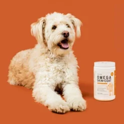 Chew + Heal Omega Skin + Coat, Dog Supplement, Salmon Oil With Essential Fatty Acids & Vitamins - 360 Delicious Chews 13 Chew + Heal Omega Skin + Coat, Dog Supplement, Salmon Oil With Essential Fatty Acids & Vitamins - 360 Delicious Chews -PawHut Store GUEST e16f01cc 7282 4a3e b32c ed52a5a5f128 1