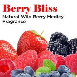 GROOMER ESSENTIALS Berry Clean Conditioner - 16 Oz. -PawHut Store GUEST e3a02805 5747 46df ab91 d194d3fefedb 1