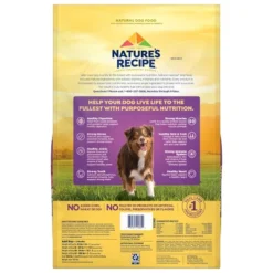 Nature's Recipe Grain Free Lamb, Sweet Potato & Pumpkin Recipe Adult Dry Dog Food - 12lbs