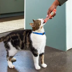 Temptations Creamy Puree With Salmon Lickable Squeezable Adult Cat Treats -PawHut Store GUEST e51a55da a467 483c a111 b9f9e5b7dace