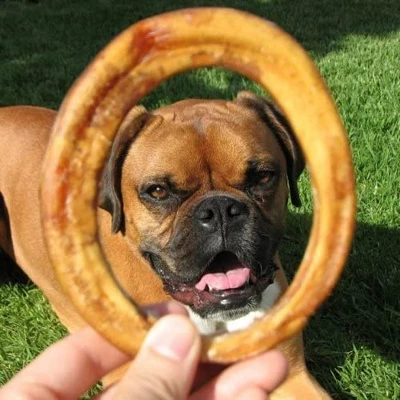 Pawstruck All-Natural Bully Stick Rings For Dogs - Single Ingredient Rawhide Free Dental Chew Treats Made With 100% Real Beef 5 Pawstruck All-Natural Bully Stick Rings For Dogs - Single Ingredient Rawhide Free Dental Chew Treats Made With 100% Real Beef - Image 5