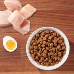 IAMS Proactive Health With Chicken Adult Premium Dry Cat Food