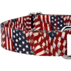 Country Brook Petz Patriotic Tribute Martingale Dog Collar And Leash 9 Country Brook Petz Patriotic Tribute Martingale Dog Collar And Leash -PawHut Store GUEST e6a92c35 32bb 4540 a36d 242d1362ede2
