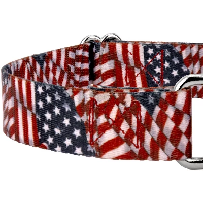 Country Brook Petz Patriotic Tribute Martingale Dog Collar And Leash 3 Country Brook Petz Patriotic Tribute Martingale Dog Collar And Leash - Image 3
