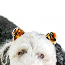 Midlee Tiger Dog Costume Headband & Tail- Large -PawHut Store GUEST e769bd8e d9a3 412f 86b0 8bc84de7fe7f