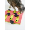 Petstages Nina Ottosson Melon Madness Interactive Treat Puzzle Cat Toy