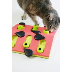 Petstages Nina Ottosson Melon Madness Interactive Treat Puzzle Cat Toy
