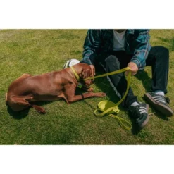 QALO TraQ Powered By Tile Dog And Cat Silicone Bluetooth Trackable Pet ID Tag - Green -PawHut Store GUEST e8c25289 2594 4792 bb21 6af61d50e3f7