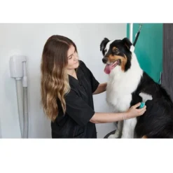 Groomer Essentials Undercoat Rake Double Row